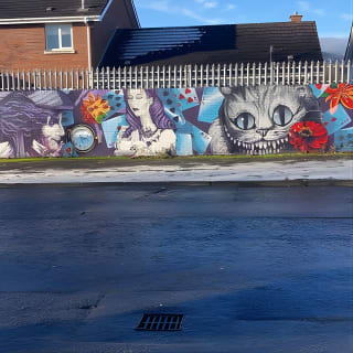 Belfast Troubles Tour: Muri e Ponti 27
