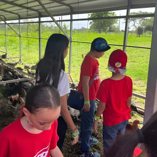 Eco Friendly Farming Tour to Explore Dorado's Most Beautiful Farm 11