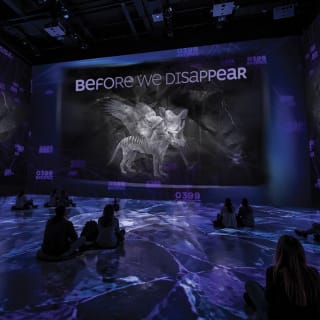 ‘Before We Disappear’, Digital Documentary Exhibition by Poliform 1