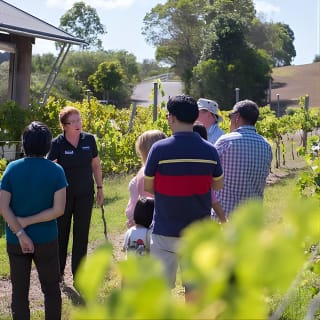 Visita a la bodega Sirromet y cata de vinos 2
