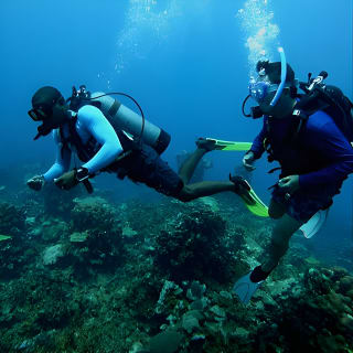 Bajo un mar de aventuras, inmersiones inolvidables. 8