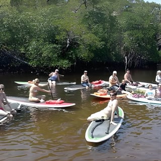 Fort Lauderdale Bonnet House Ground and Guided Paddle Board Kayak 4