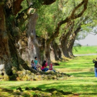 Oak Alley Plantation: Tour from New Orleans 10