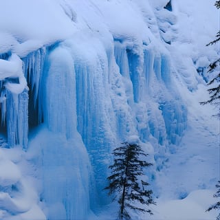 [Excursión de un día] Aventura en Lake Louise, Johnston Canyon y la ciudad de Banff 2