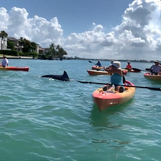 Avventura in kayak guidata nel туннель мангрови 5