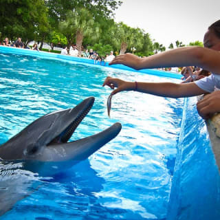 SeaWorld San Antonio: Fast Track 1