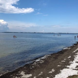Stand Up Paddle Board Lesson in Panama City Florida 9