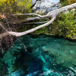 Clear Kayaking Eco Adventure Tour in Marianna 6