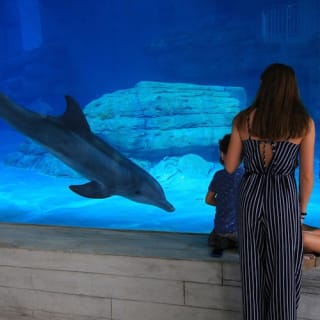 Clearwater Marine Aquarium 2