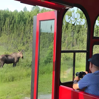 Anchorage Trolley Tour 7