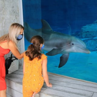 Clearwater Marine Aquarium 3