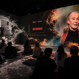 ‘Before We Disappear’, Digital Documentary Exhibition by Poliform 2