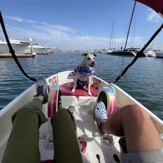 Pedal Boat rental in hidden part of San Diego Bay! 7