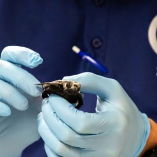 Clearwater Marine Aquarium 4