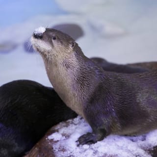 Clearwater Marine Aquarium 5