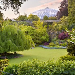 Bloedel Conservatory: Indoor Tropical Garden 4