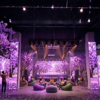 BLOOMING: La Ciudad Florece - Experiencia inmersiva inspirada en las jacarandas de CDMX 4
