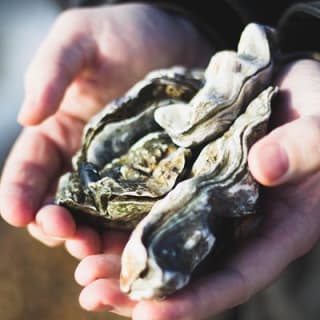 Undiscovered Charleston: Half Day Food, Wine & History Tour with Cooking Class 17
