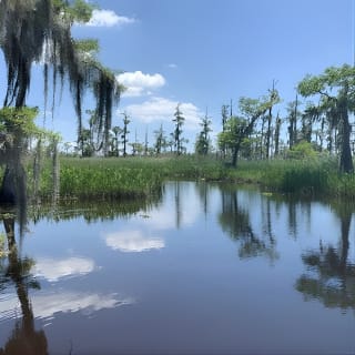 New Orleans Small-Group Airboat Swamp Tour 2