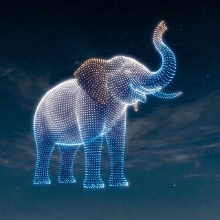 DroneArt Show: Creatures of the Earth 4