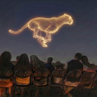 DroneArt Show: Creatures of the Earth 2