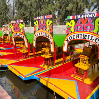 Visite guidée de Coyoacán, Xochimilco & fresques artistiques : tour guidé avec promenade en trajinera 1