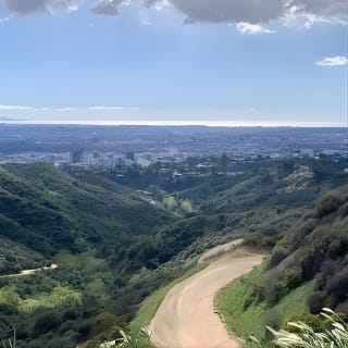 El Tour Premier del Letrero de Hollywood: Naturaleza en el corazón de la ciudad 6