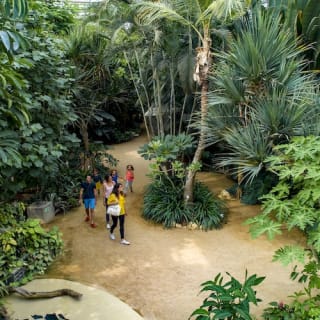 Parc Terra Botanica 12