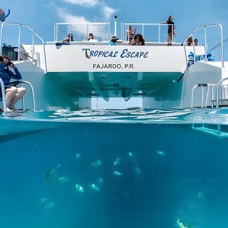 Culebra Snorkeling Tour by Catamaran from Fajardo 5