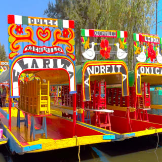 Visite guidée de Coyoacán, Xochimilco & fresques artistiques : tour guidé avec promenade en trajinera 4