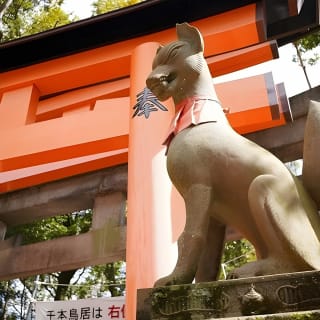 嵐山、伏見稲荷、奈良鹿公園を巡る京都日帰りツアー 4