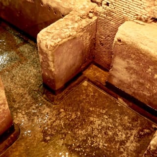 Fontana di Trevi: tour guidato di 40 minuti della domus sotterranea 24