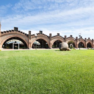 Bodega Codorníu: Visita guiada + Cata de cava 2