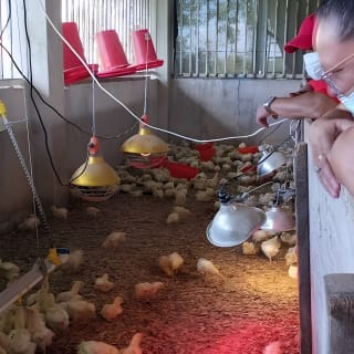 Eco Friendly Farming Tour to Explore Dorado's Most Beautiful Farm 12