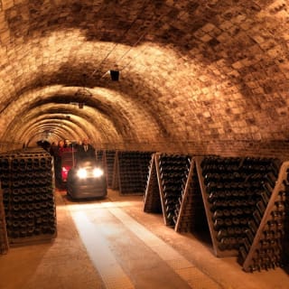 Bodega Codorníu: Visita guiada + Cata de cava 3