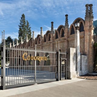 Bodega Codorníu: Visita guiada + Cata de cava 4