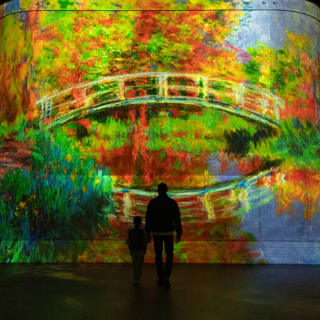 Port des Lumièrs Kombi-Ticket: Wunderwelt Ozean & Monet 2