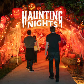 Haunting Nights 4
