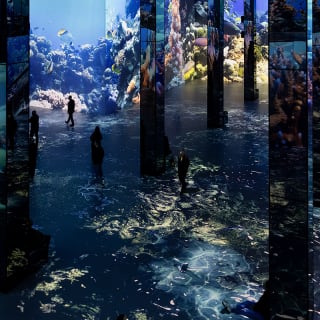 Port des Lumièrs Kombi-Ticket: Wunderwelt Ozean & Monet 5