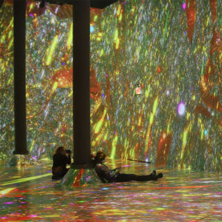 ARTECHOUSE Holiday Special - Gift Card 7