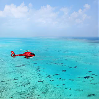 Great Barrier Reef or Rainforest Scenic Flights from Port Douglas 1