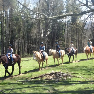 Guided Horseback Ride through Flame Azalea and Fern Forest 3