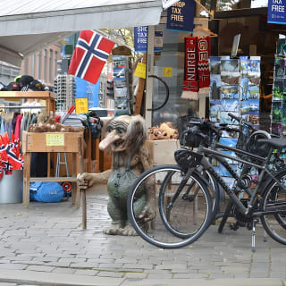 BIKING&nbsp;OSLO&nbsp;PRIVATE&nbsp;EXPERIENCE Upto&nbsp;8&nbsp;Participants Max 4