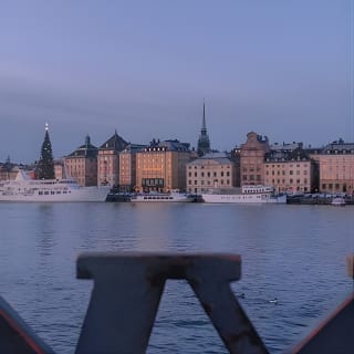 Stockholm Like a Local: Customized Private Tour 3