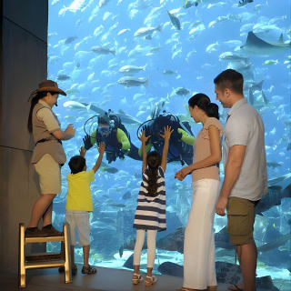 Skip the Line: ingresso per Lost Chambers da Atlantis The Palm 9