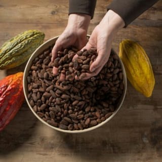 Espai Xocolata Simon Coll: Visita guiada 6