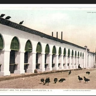 Undiscovered Charleston: Half Day Food, Wine & History Tour with Cooking Class 31