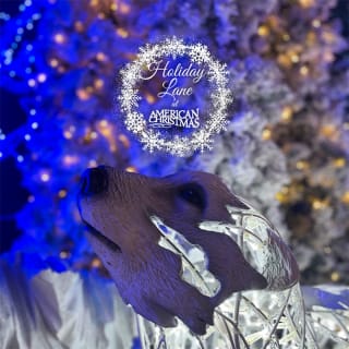 Holiday Lane at American Christmas: An Enchanting Journey 3