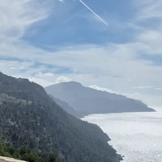 Mallorca: Das Tal der Orangenbäume und Valldemossa – Führung + Transfers 7