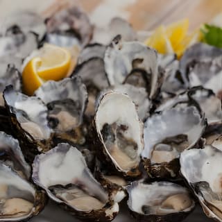 Bruny Island Traveller - Gourmet Tasting and Sightseeing Day Trip from Hobart 1